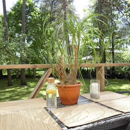 The Paradise House Holiday home Riga
