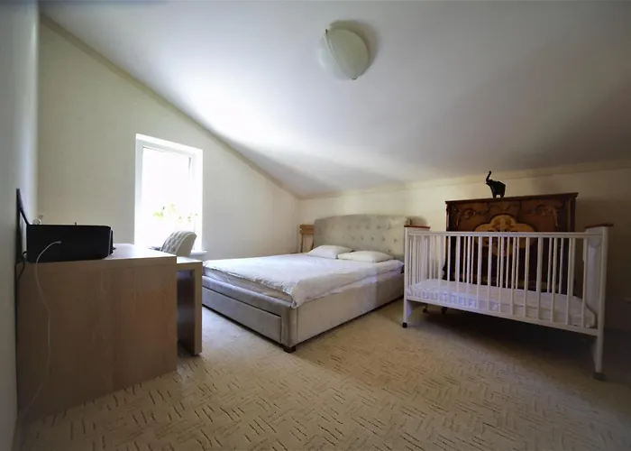 The Paradise House *